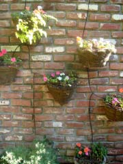 c0103793_8274518.jpg