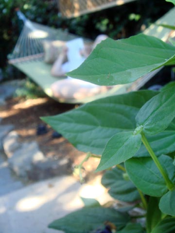 c0103793_8352199.jpg