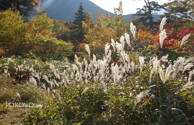 c0134295_010335.jpg
