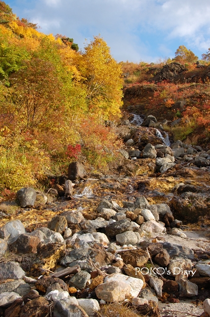 c0134295_012565.jpg