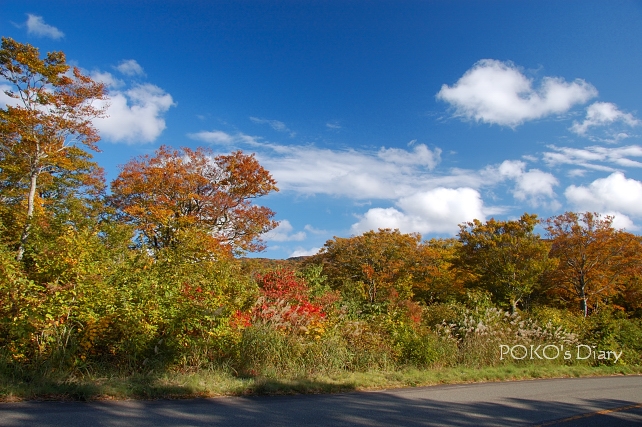 c0134295_092742.jpg