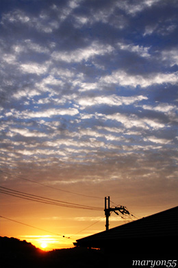 d0052096_9221910.jpg