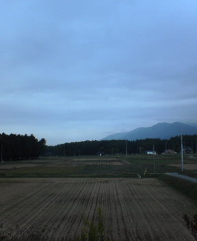 b0054498_2039433.jpg