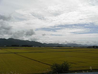b0116703_7483246.jpg