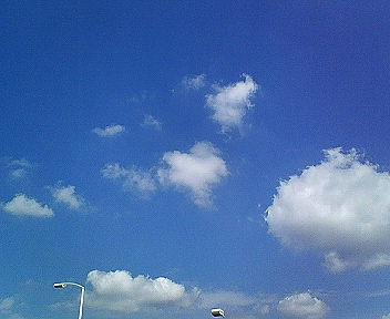 c0017505_9381096.jpg