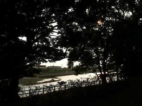 c0097309_803213.jpg