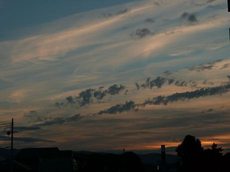 c0097309_8125561.jpg
