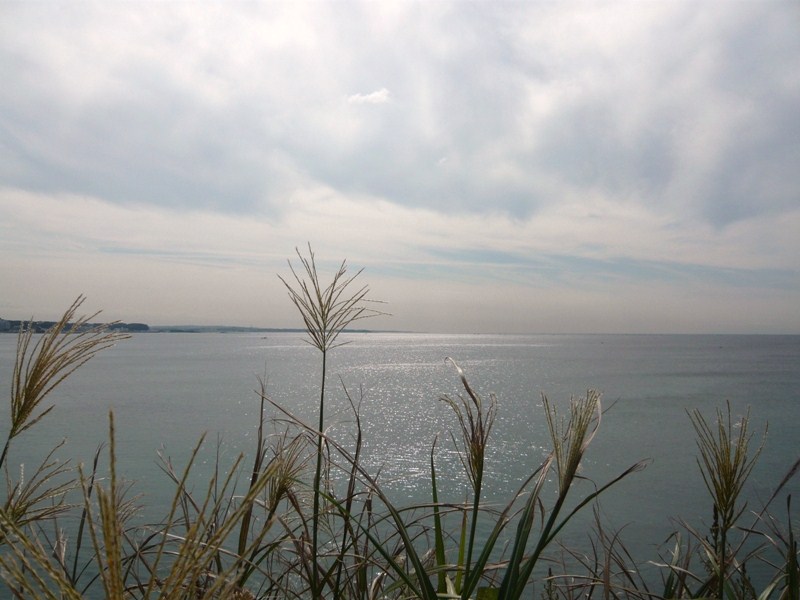 d0065116_14395648.jpg