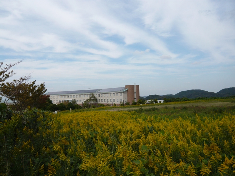 d0065116_14584413.jpg