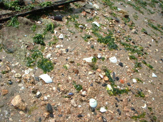 c0122819_18284490.jpg