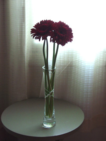 c0086320_201026.jpg