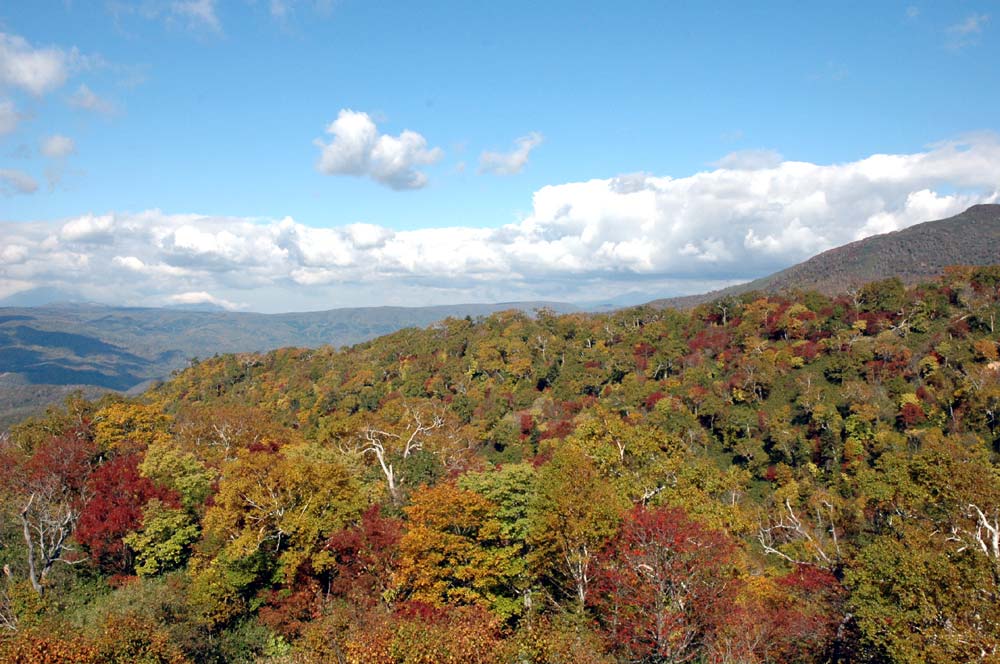 「オロフレ峠」 紅葉真っ只中です(^^♪_e0037129_224179.jpg