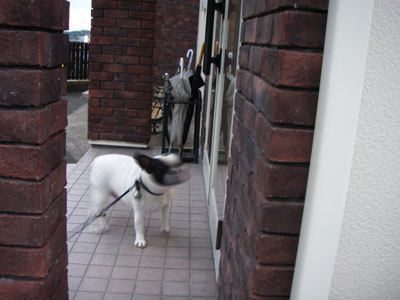 e0008833_10285630.jpg