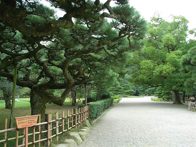b0102639_030410.jpg