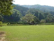 e0082441_04748.jpg