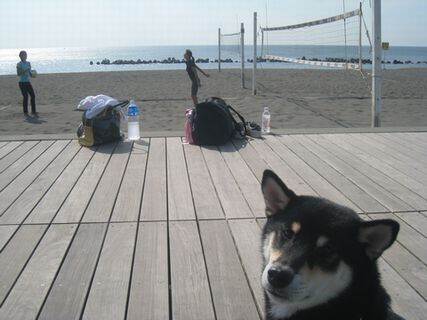 f0058241_20355552.jpg