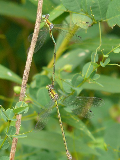 b0088444_22145270.jpg
