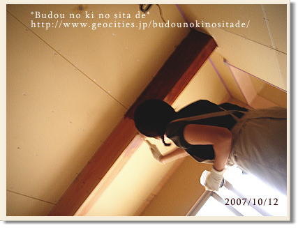 c0103049_811363.jpg