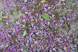 e0126350_14571179.jpg