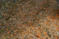 e0126350_14573520.jpg