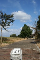 e0126350_1550021.jpg