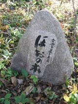 c0097856_9344179.jpg