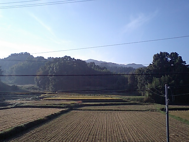 d0125059_824250.jpg