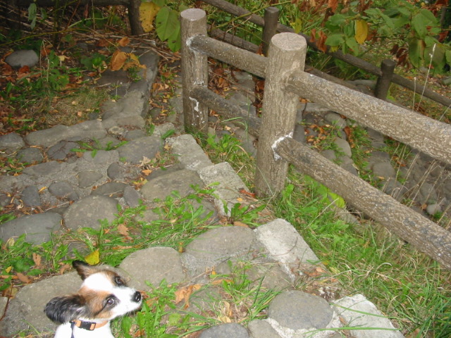 f0122259_21661.jpg