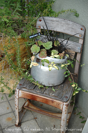 c0070460_22172659.jpg