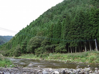 a0022762_1492212.jpg