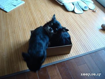 BeyondThaiChi_d0006467_22362971.jpg