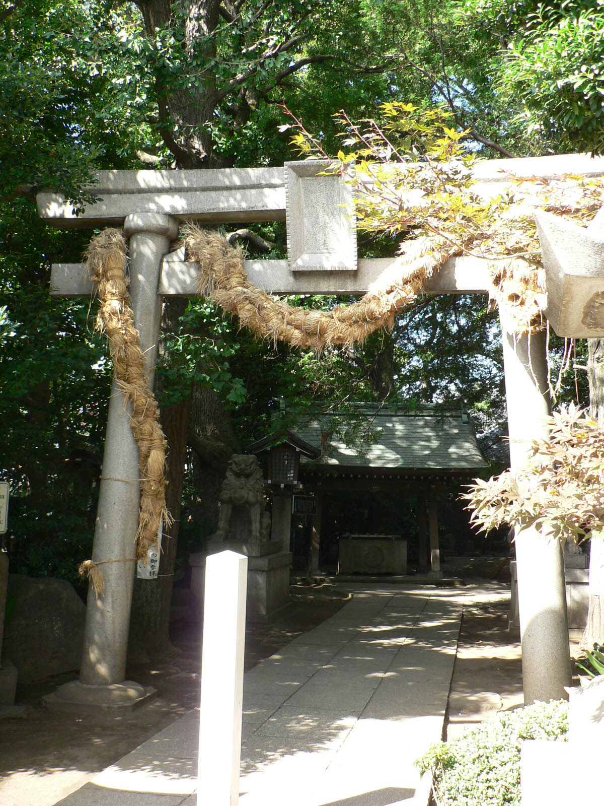 奥沢神社_e0123189_2173610.jpg