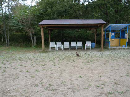 f0114893_10262650.jpg