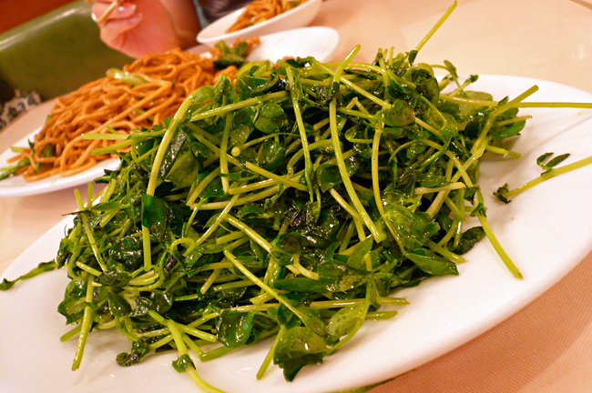 c0025895_5445326.jpg