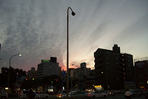 d0005397_14514710.jpg