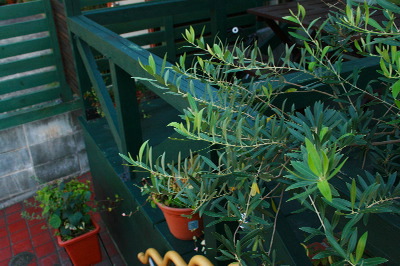 c0129498_22342054.jpg