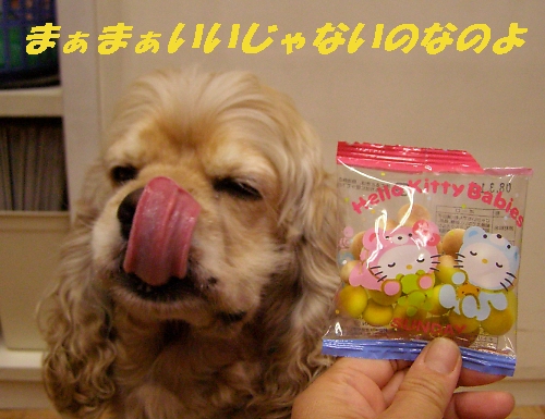 ハロウィンへのカウントダウン_b0067012_257413.jpg