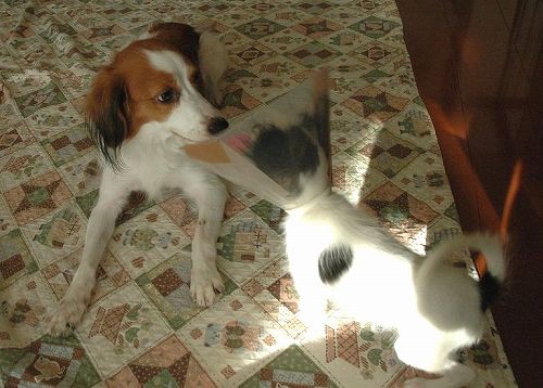 c0065512_238891.jpg