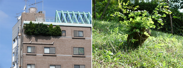 e0109817_9541239.jpg