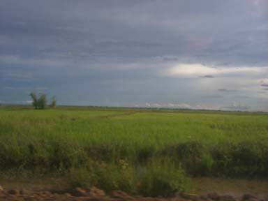 b0090524_1242581.jpg