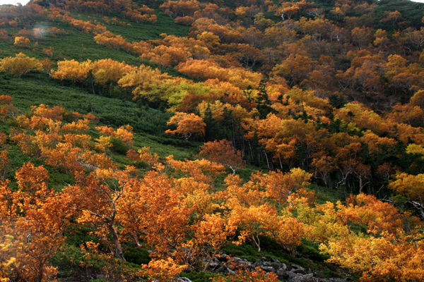 栗沢山の紅葉_f0081726_20544821.jpg