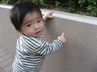 f0047439_22502180.gif