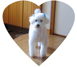 電子マネー_a0089450_2048382.jpg