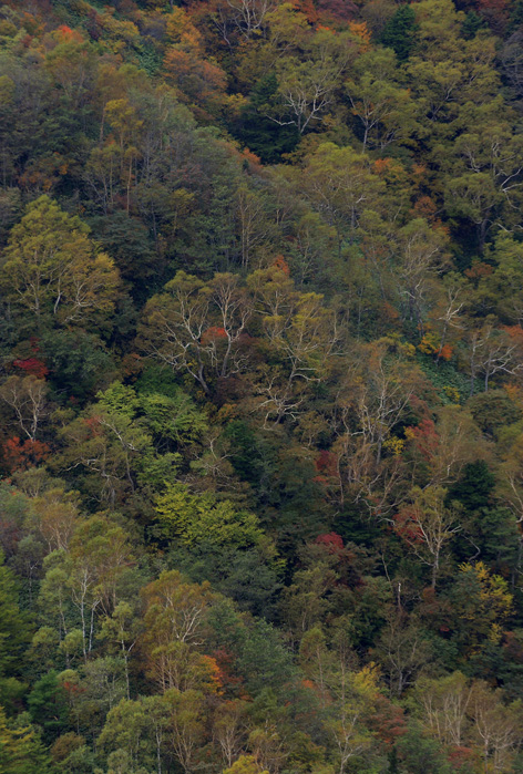 d0101050_13584.jpg