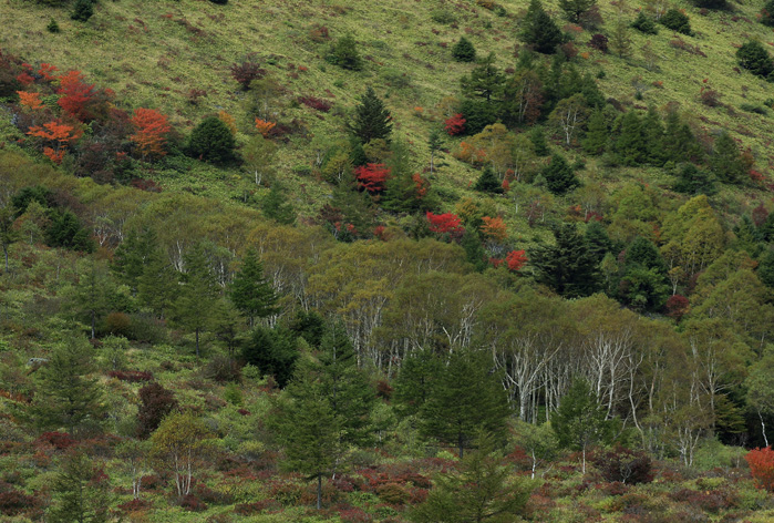 d0101050_15371.jpg