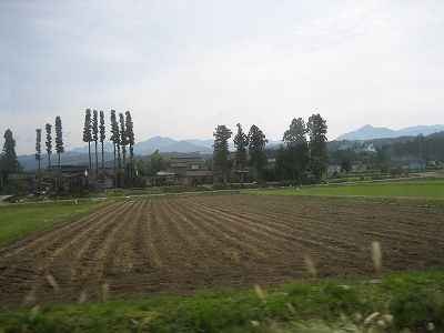 立山・黒部の旅　その２室堂～弥陀ヶ原～美女平～富山_d0031853_1227479.jpg