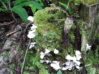 f0083262_19285280.jpg
