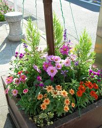 f0139963_716490.jpg