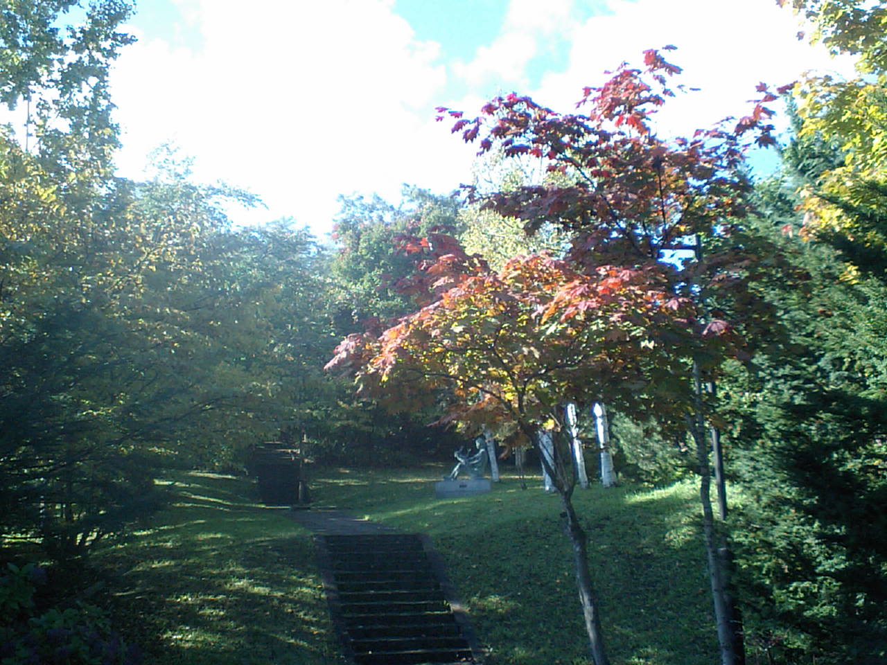 d0098665_18553736.jpg