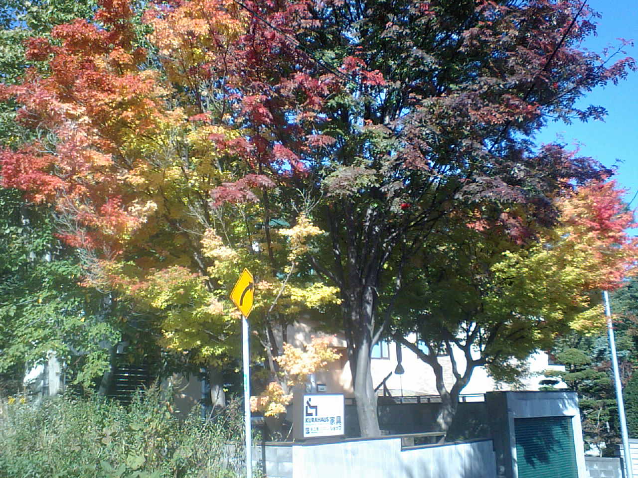 d0098665_18575341.jpg